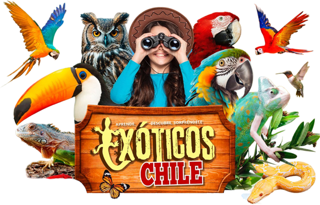 Tour Exoticos Chile_logo